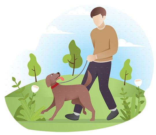 Animal Angels Sitter with dog