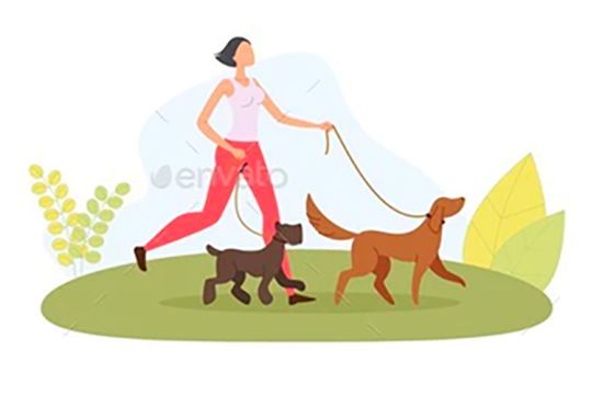 Animal Angels Sitter walking dogs