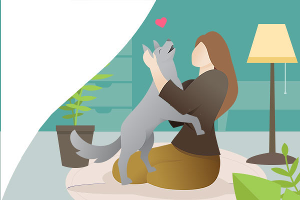 Animal Angels sitter and cat